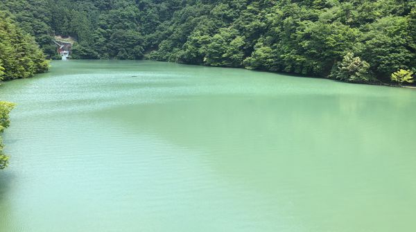 『自然豊かな雨畑の地』