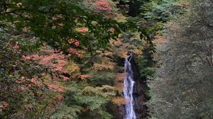 紅葉まもなく見頃です