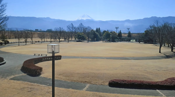 なんでもできちゃう芝生広場