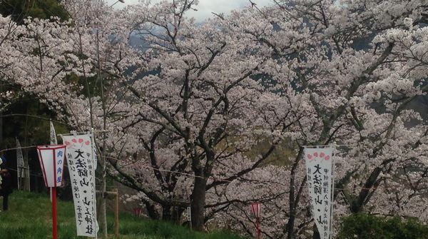 公園内通路