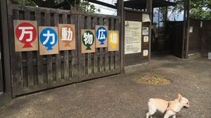 動物広場1