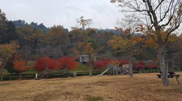 眺めの良い芝生広場☆