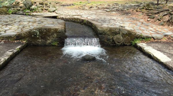 近隣の見どころ　三分一湧水