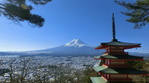 富士、松、五重塔、春には桜も一望。これぞ日本を象徴する景色！