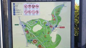 とにかく広い！子供も大人も一日遊べる公園