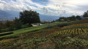 花もたくさん植えられてます