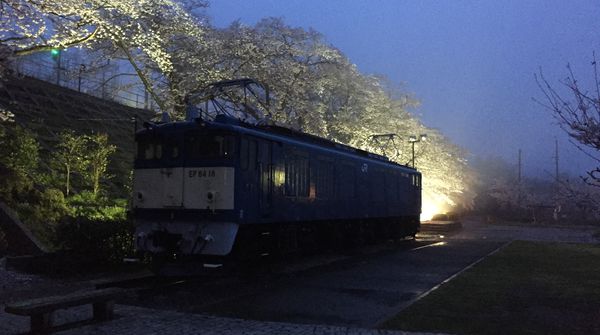 夜桜と電車