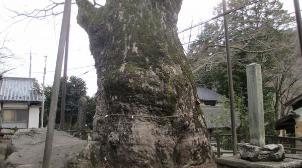 根古屋神社